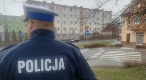 umundurowany policjant ruchu drogowego jest zwrócony tyłem do obiektywu. W tle widać ulicę i przejście dla pieszych