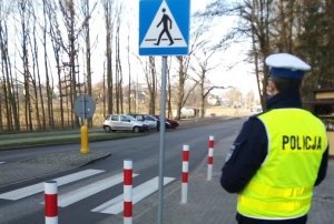 na chodniku przez oznakowanym przejściem dla pieszych stoi zwrócony tyłem do obiektywu umundurowany policjant ruchu drogowego w kamizelce odblaskowej. W tle widać zaparkowane na poboczu po drugiej stronie ulicy trzy samochody osobowe