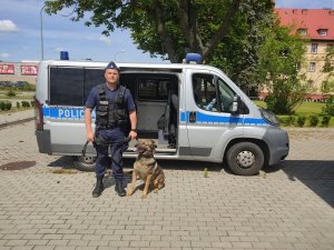 przed oznakowanym radiowozem fiat ducato stoi umundurowany policjant - przewodnik psa. Trzyma na smyczy owczarka - psa służbowego.