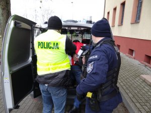 dwaj policjanci wprowadzają do tylnej części radiowozu zatrzymanego mężczyznę, który ma ręce skute kajdankami