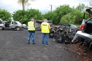 miejsce nielegalnej rozbiórki pojazdów. Na odkrytym terenie stoją niemundurowany policjant i funkcjonariuszy wojewódzkiego inspektoratu ochrony środowiska, obydwaj w kamizelkach odblaskowych. Przed nimi i obok nich znajdują się zdemontowane pojazdy i fragmenty części samochodowych