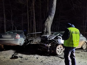 miejsce wypadku po zmierzchu. Na poboczu drogi przy drzewie znajduje się samochód z całkowicie wgniecionym przodem. Przed nim, prostopadle do jezdni znajduje się vw passat z widocznymi uszkodzeniami w postaci wgnieceń z prawej przedniej strony. Przed tymi pojazdami stoi policjant w kamizelce odblaskowej