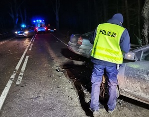 miejsce wypadku, po zmierzchu. Na poboczu drogi znajdują się dwa samochody, przy których stoi policjant w kamizelce odblaskowej. Na jezdni stoją policyjny radiowóz i karetka pogotowia