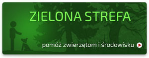 banner z białym napisem &quot;Zielona strefa pomóż zwierzętom i środowisku&quot; na zielonym tle