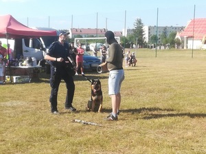 obok siebie stoją policjant i pozorant. Policjant trzyma na smyczy psa służbowego