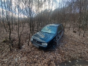 ciemny vw golf stojący w lesie