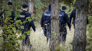 policjanci przeszukujący leśny teren