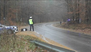 na poboczu przy radiowozie z włączonymi sygnałami błyskowymi stoi policjant ruchu drogowego trzymający kolczatkę. Po przeciwnej stronie drogi znajduje się drugi policyjny radiowóz