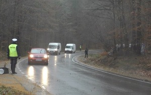 przy drodze stoją policjanci. Jeden trzyma policyjną kolczatkę. Jezdnią jadą samochody