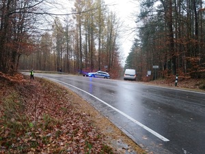 policyjny radiowóz wjeżdża w leśną drogę z jezdni na której jest rozwinięta kolczatka