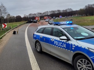 miejsce wypadku drogowego. Pora dzienna. Na łuku drogi znajdują się dwa rozbite samochody osobowe. Jezdnia jest zasypana proszkiem neutralizujacym wycieki płynów ekslopatacyjnych. Na miejscu pracują strażacy. W tle widać wozy strażackie i samochodu stojące w korku. Przed rozbitymi pojazdami w poprzek drogi stoi policyjny radiowóz.