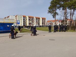 przy przystanku autobusowym przed stadionem stoi czworo przewodników z psami służbowymi oraz policjanci ubrani w kamizelki i kaski ochronne. Przed nimi znajdują się samochody i zgrupowani pseudokibice