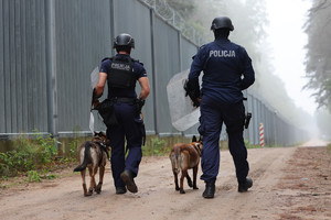 dwaj policjanci z psami służbowymi idący wzdłuż granicy polsko - białoruskiej