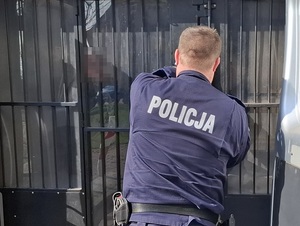 policjant zamykający kratę na tyłach radiowozu. w radiowozie, za kratą siedzi zatrzymana osoba