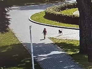 alejką w parku idzie mała dziewczynka. Obok niej znajduje się pies niewielkich rozmiarów