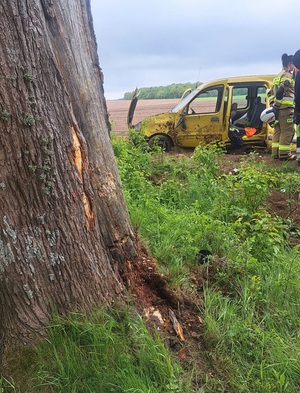 w polu stoi uszkodzone żółte renault kangoo. Przy aucie stoi strażak OSP. Na pierwszy planie drzewo z uszkodzonym pniem