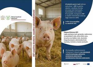 ulotka informacyjna dotycząca ogniska afrykańskiego pomoru świń