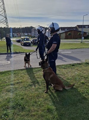 dwaj przewodnicy z psami służbowymi, stojący obok siebie przed stadionem. Przewodnicy są ubrani w sprzęt przeciwuderzeniowy