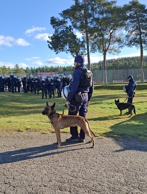 na pierwszym planie widać dwóch przewodników z psami policyjnymi. W tle przed wejściem na stadion stoi kilkudziesięciu policjantów ubranych w sprzęt przeciwuderzeniowy