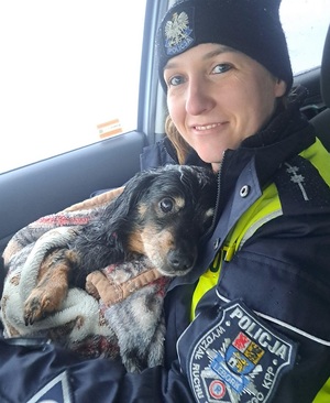 w radiowozie siedzi policjantka ruchu drogowego, która trzyma na kolanach niedużego psa czarnej maści, owiniętego kocem