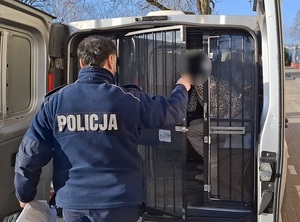 policjant zamyka klatkę z tyłu nieoznakowanego radiowozu, w której siedzi zatrzymana kobieta