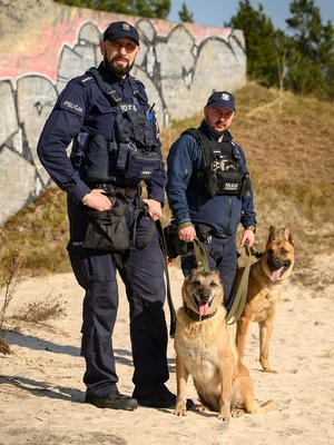 na tle opuszczonego budynku z naniesionym graffiti stoją dwaj przewodnicy psów służbowych. Trzymają na smyczy siedzące przy nich psy w biszkoptowym umaszczeniu: owczarka niemieckiego i owczarka belgijskiego