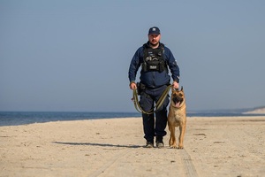 policjant z psem służbowym na smyczy idzie brzegiem morza