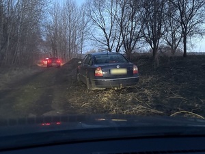 w zagajniku na drodze gruntowej na trawie jest zaparkowany ciemny osobowy VW passat. Przed nim na drodze stoją dwa policyjne radiowozy
