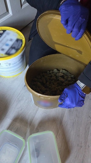 ręce policjanta ubrane w lateksowe rękawiczki otwierają wiadro wypełnione suszem roślinnym w brunatnym kolorze. Obok na podłosze znajdują się plastikowe pojemniki z białą zbryloną substancją