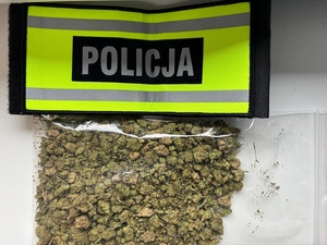przezroczysty worek strunowy wypełniony zielonym suszem roślinnym. Nad workiem policyjna opaska na ramię