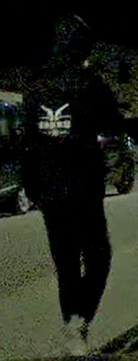 niewyraźne nagranie z kamery samochodowej przedstawiające sylwetkę ubranej na ciemno kobiety idącej nocą ulicą
