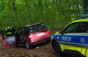 w lesie przy osobowym Mercedesie stoi policjant ruchu drogowego i kierowca. Za Mercedesem stoi oznakowany policyjny radiowóz