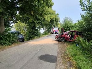 miejsce wypadku drogowego. Słoneczny dzień. Na prostym odcinku jezdni jest rozsypany proszek neutralizujący wycieki płynów eksploatacyjnych. Po obu stronach jezdni, w gąszczach znajdują się dwa pojazdy uczestniczące w zdarzeniu. Osobowa czerwona Honda z rozbitym przodem i wystrzeloną poduszką powietrzną kierowcy oraz dostawczy Fiat Ducato. Za nimi na jezdni stoi wóz straży pożarnej